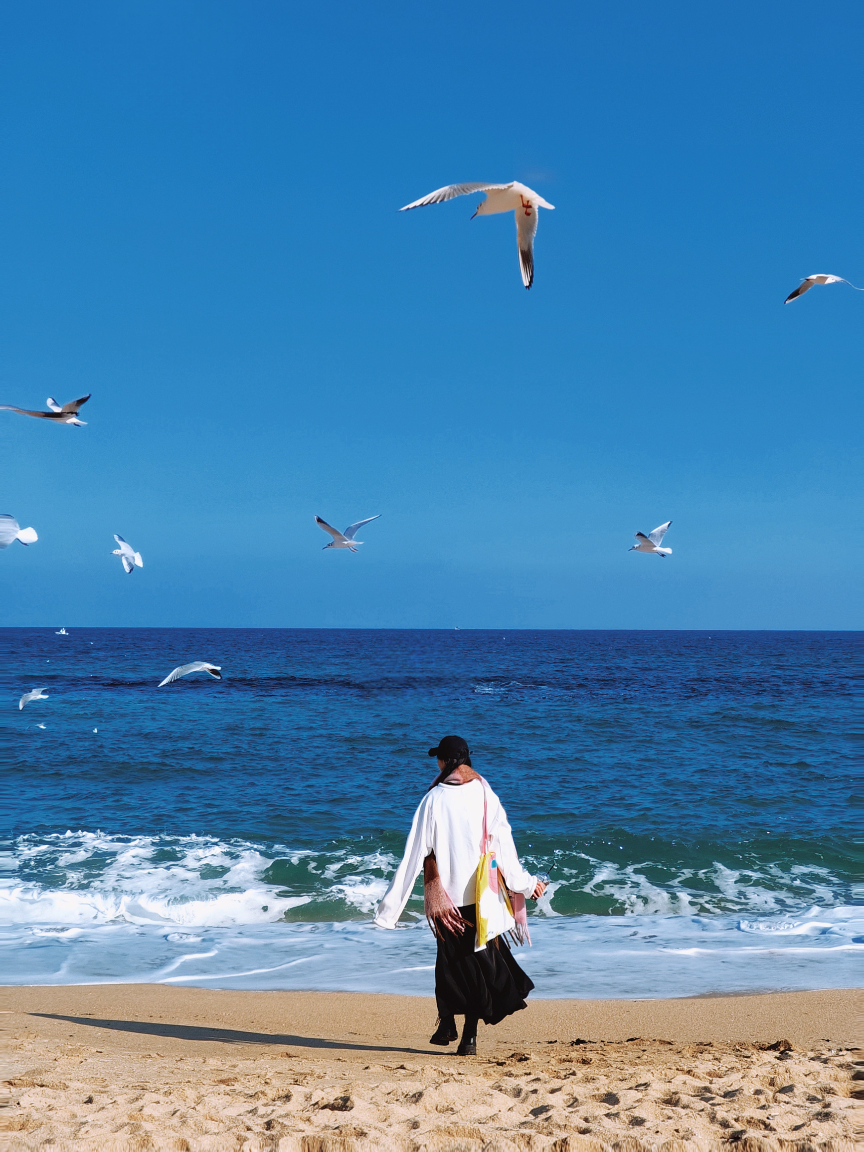 相比济州岛‼️更爱韩国这个海滨艺术之城