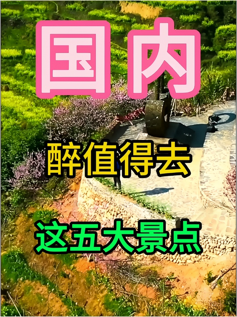 三月旅游＆推荐的五个景点，喜欢就收藏加关注吧#四川嘉阳小火车 #贵州平坝万亩樱花园