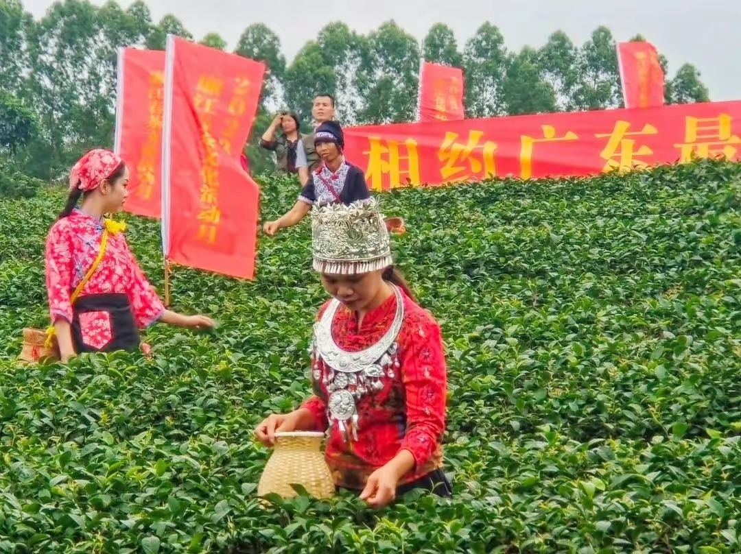 茗上茗茶文化旅游区