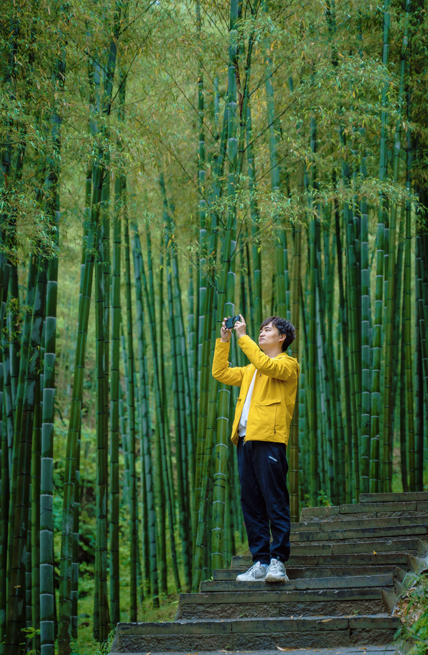 安吉是竹的故乡，这里的中国大竹海，毛竹长满上坡，这里是以毛竹为主的林地，是中国东南部最大的竹文化生态