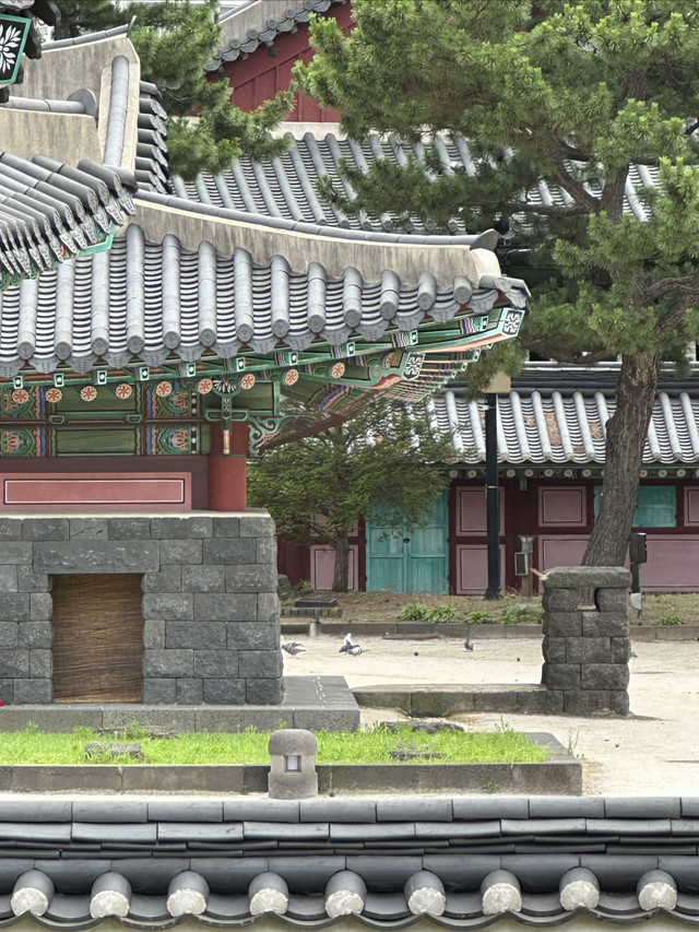 济州岛变装秀|打卡济州市济州牧宫衙