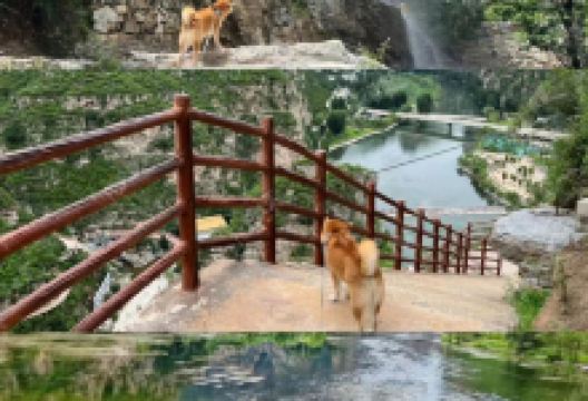 东湖港美食图片