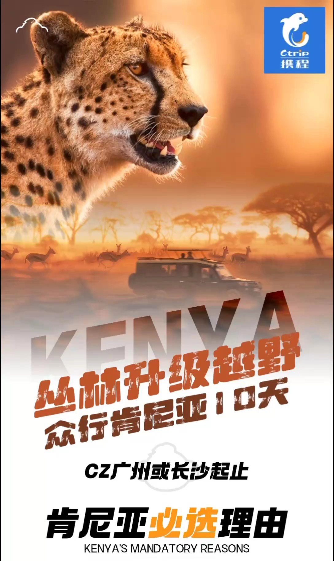 🇰🇪狂野肯尼亚动物大迁徙10日游