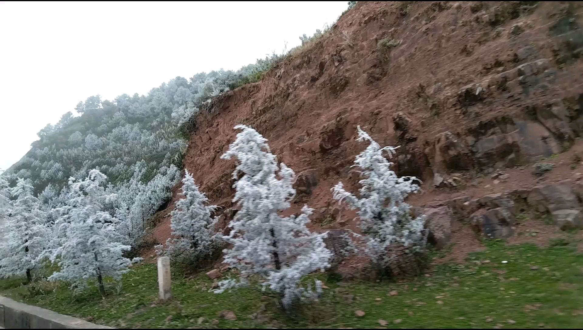 广东娃第一次看到大雪山，内心非常震撼！