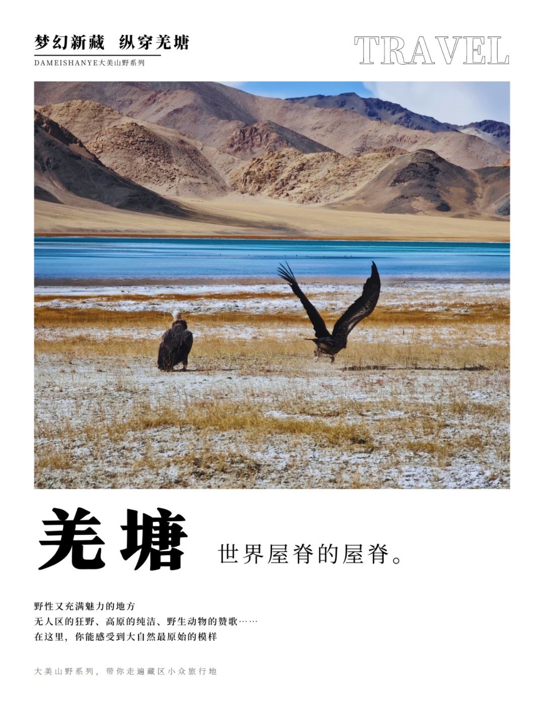 穿越羌塘无人区、打卡新疆西藏两省小众景点