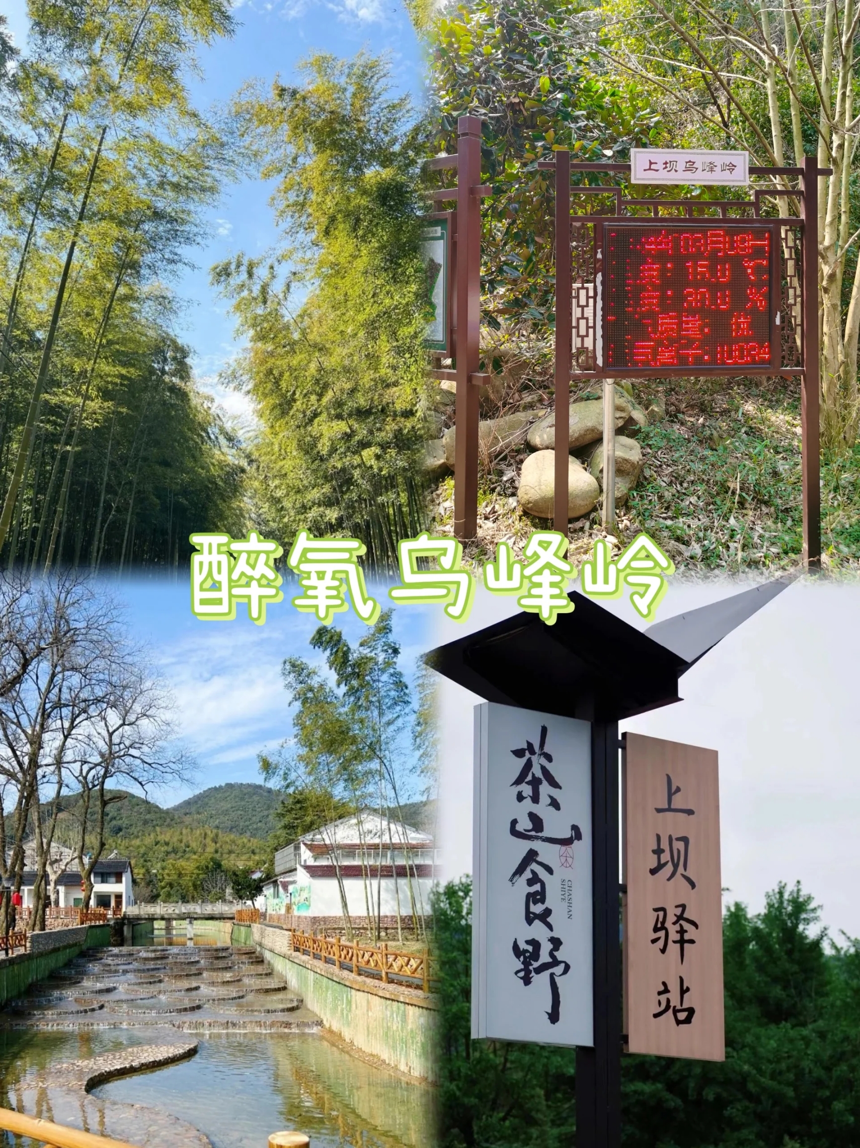 丁蜀上春山 小众路线“醉氧乌峰岭”