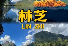 林芝自然博物馆景点图片