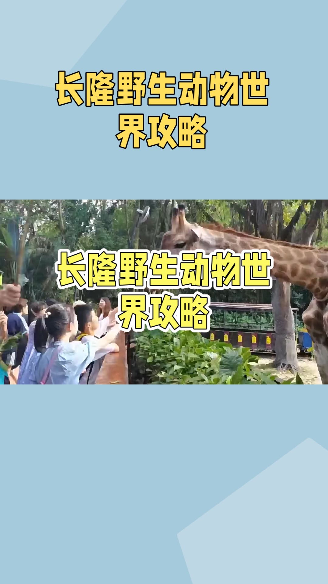 长隆野生动物园：广州的野生动物王国