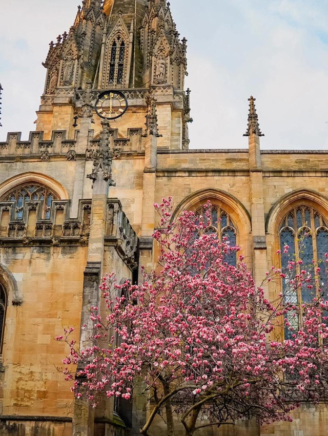 牛津大学公园:英伦风情,自然美景尽收眼底