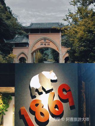 雅安中国保护大熊猫研究中心雅安碧峰峡基地游玩攻略-中国保护大熊猫