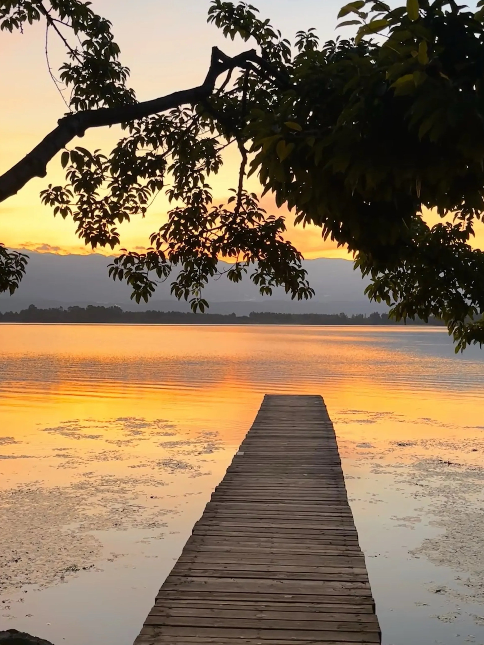 彝风人家彝族餐厅