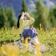 花开雏菊一朵朵