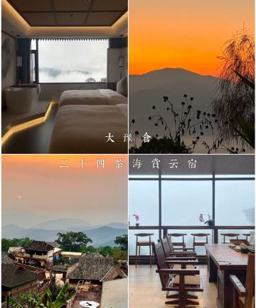 大豫仓·二十四茶海赏云宿(澜沧景迈山古树茶林店)图片