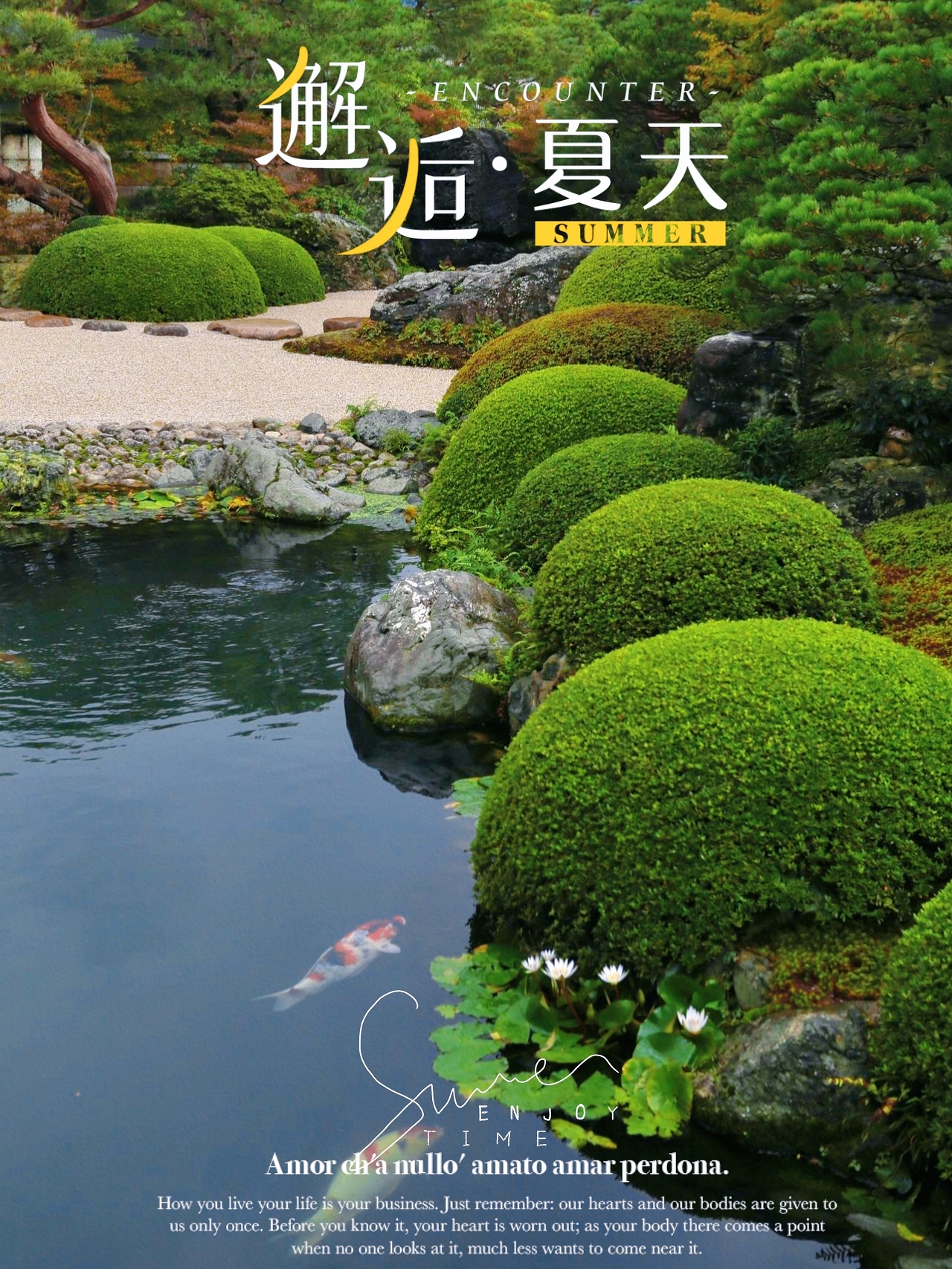 足立美术馆|连续19年被评为日本 NO .1的庭院