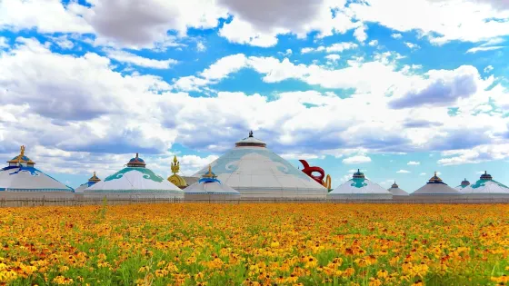 希拉穆仁花海景區