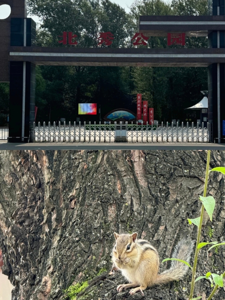 亿安月兴热面(亿安公寓店)餐厅图片