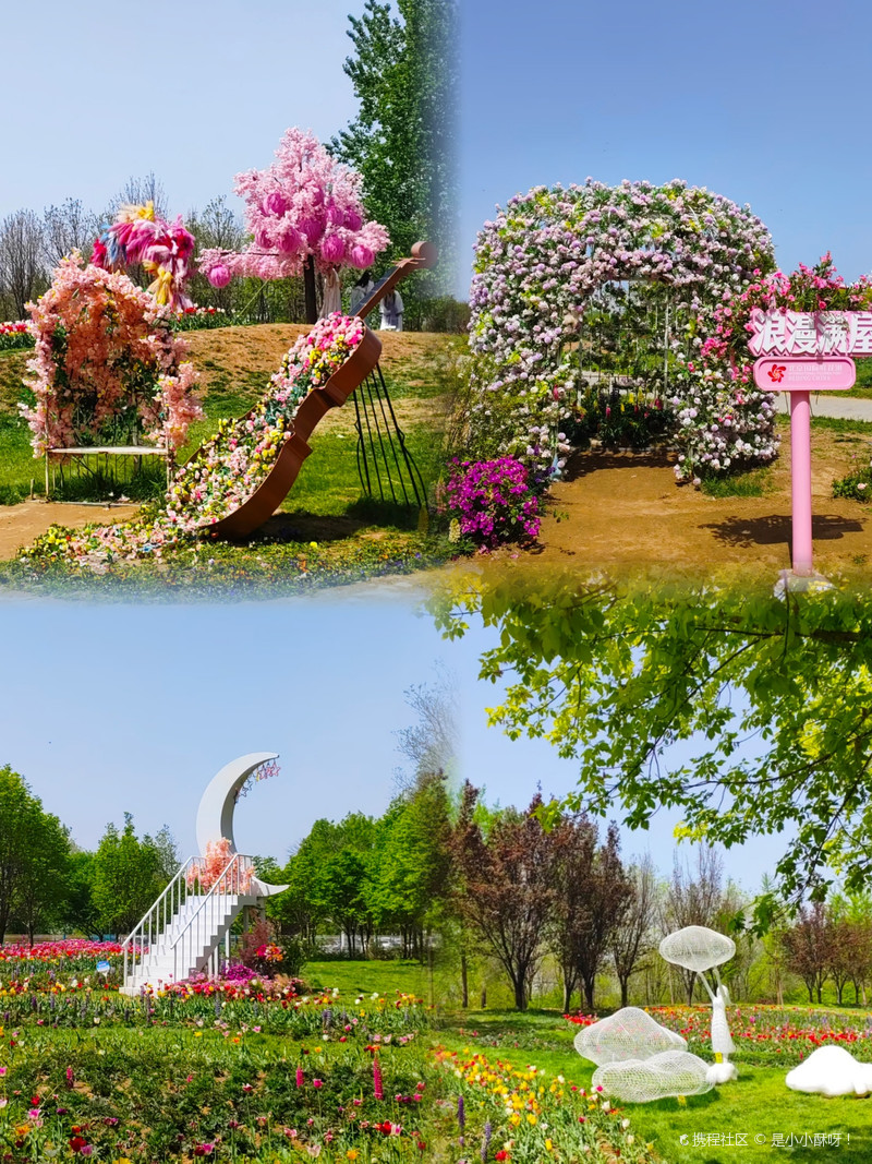 北京国际鲜花港