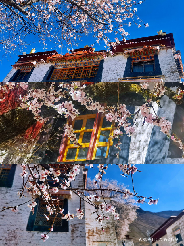 藏服写真|拉萨绝美桃花寺·帕邦喀