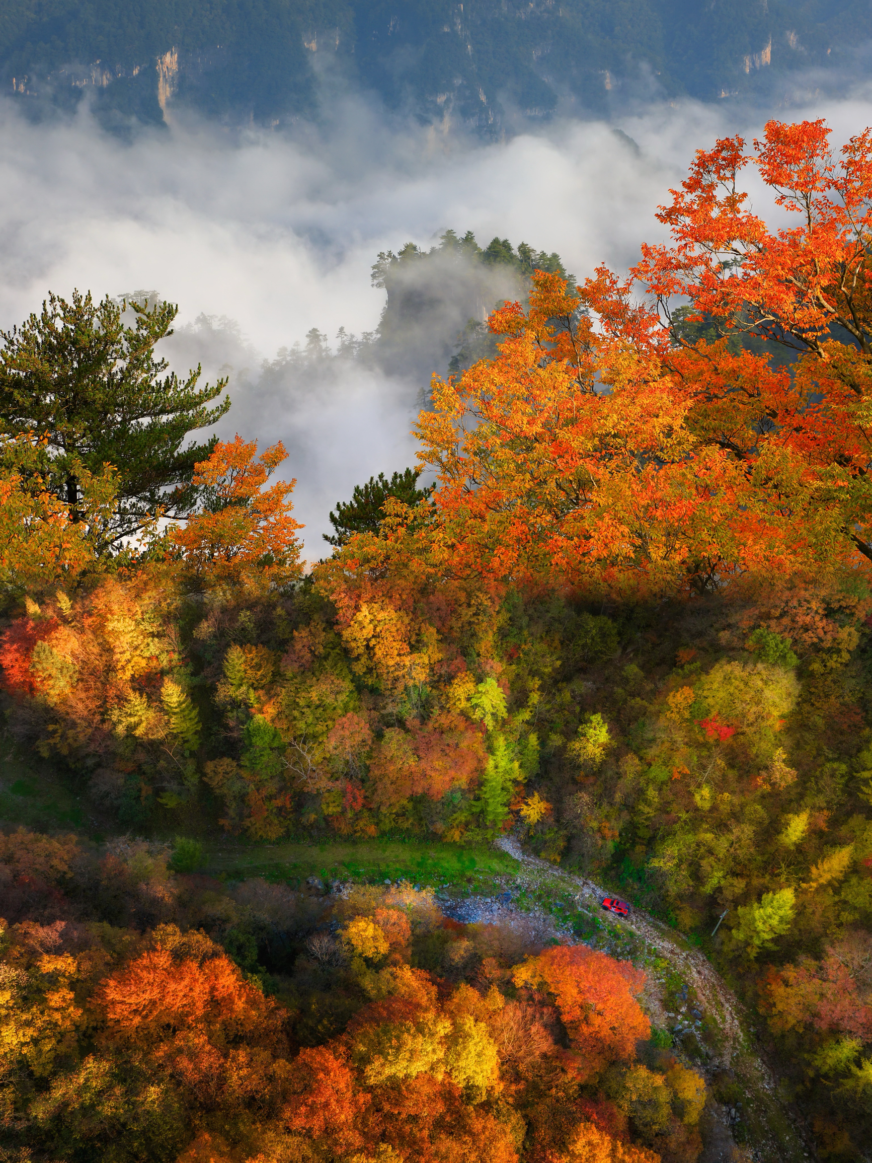 光雾山红叶之旅：感受秋天的视觉盛宴