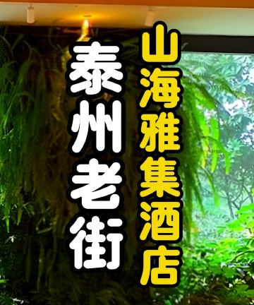 泰州山海雅集酒店(凤城河风景区老街店)图片