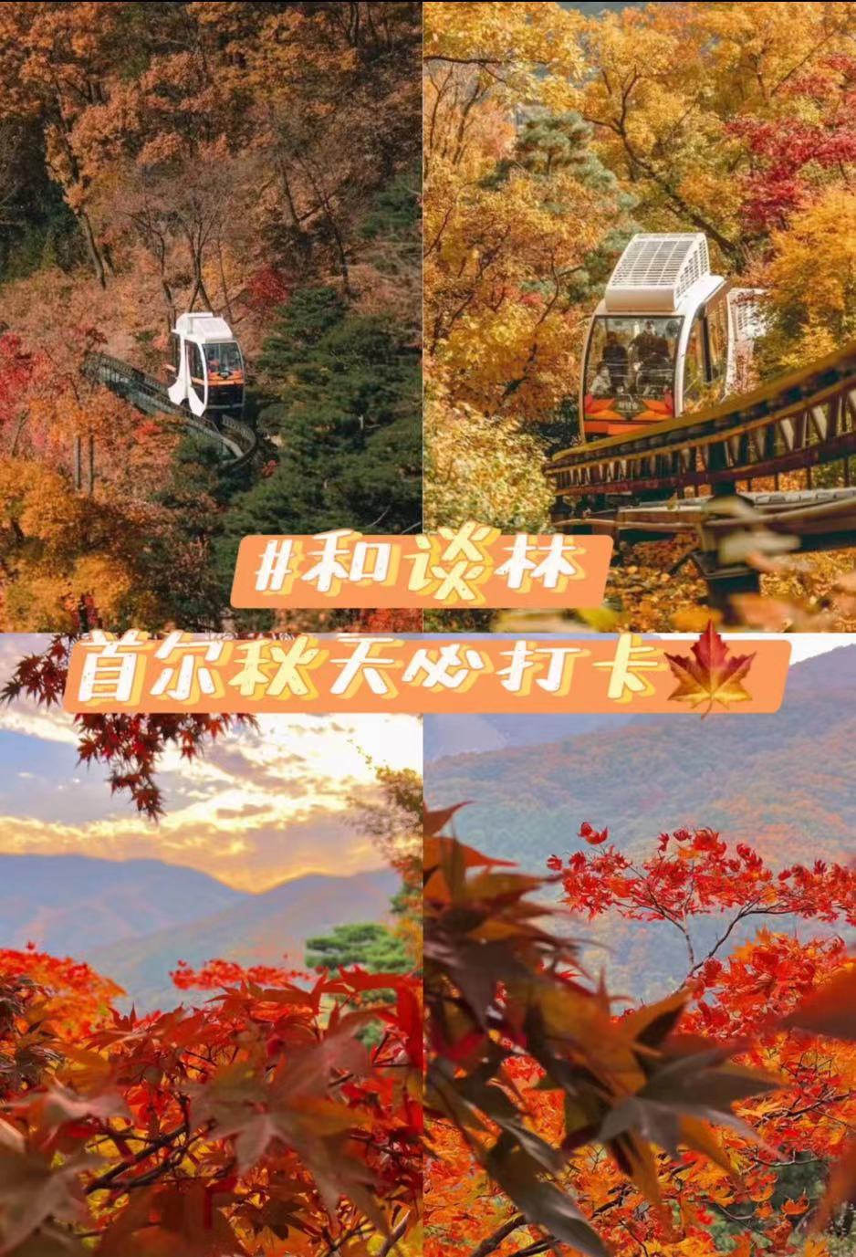 首尔满满的秋天氛围感都在和谈林啦！