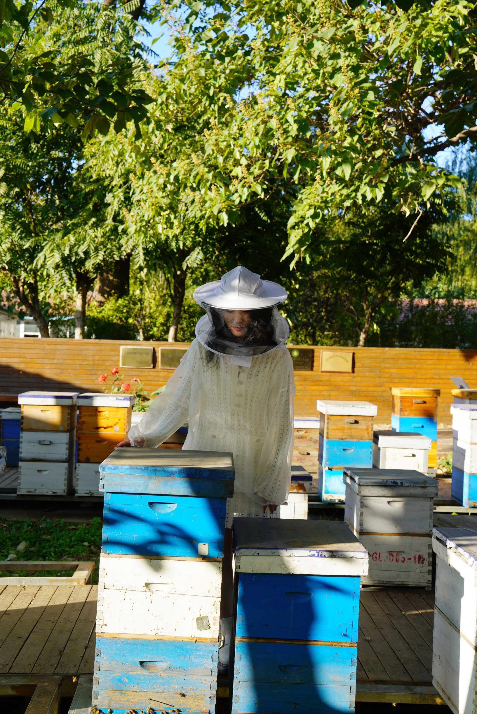 京郊宝藏旅行地，体验当一天快乐的养蜂人