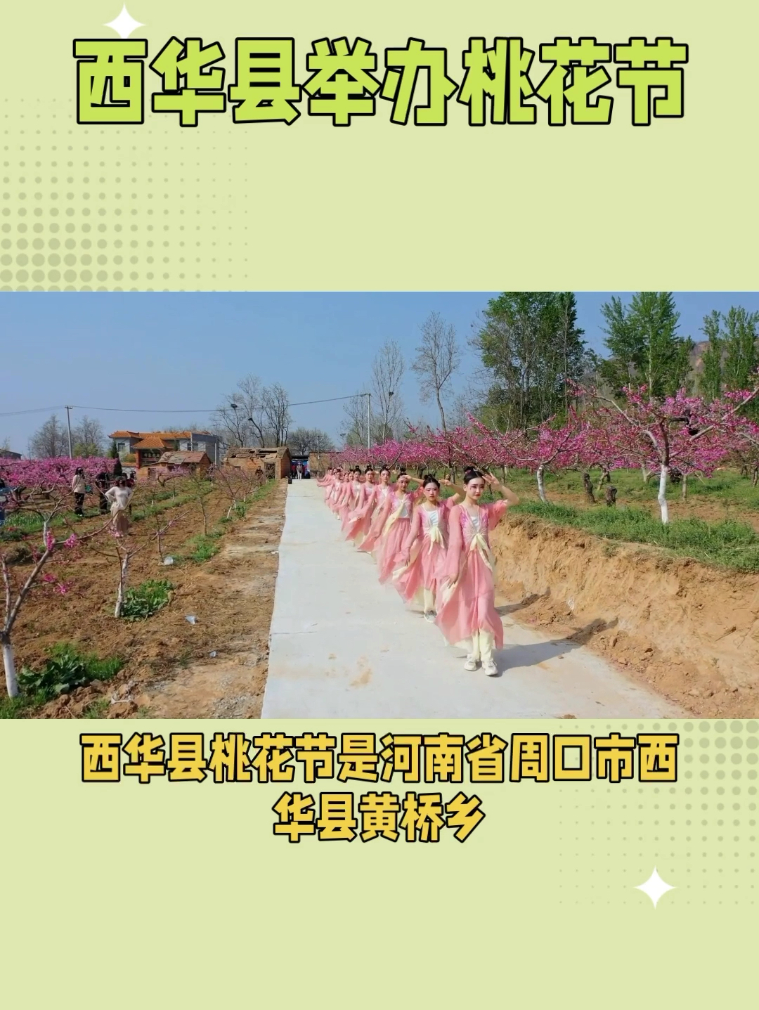 探寻桃花秘境：西华县桃花节盛况揭秘