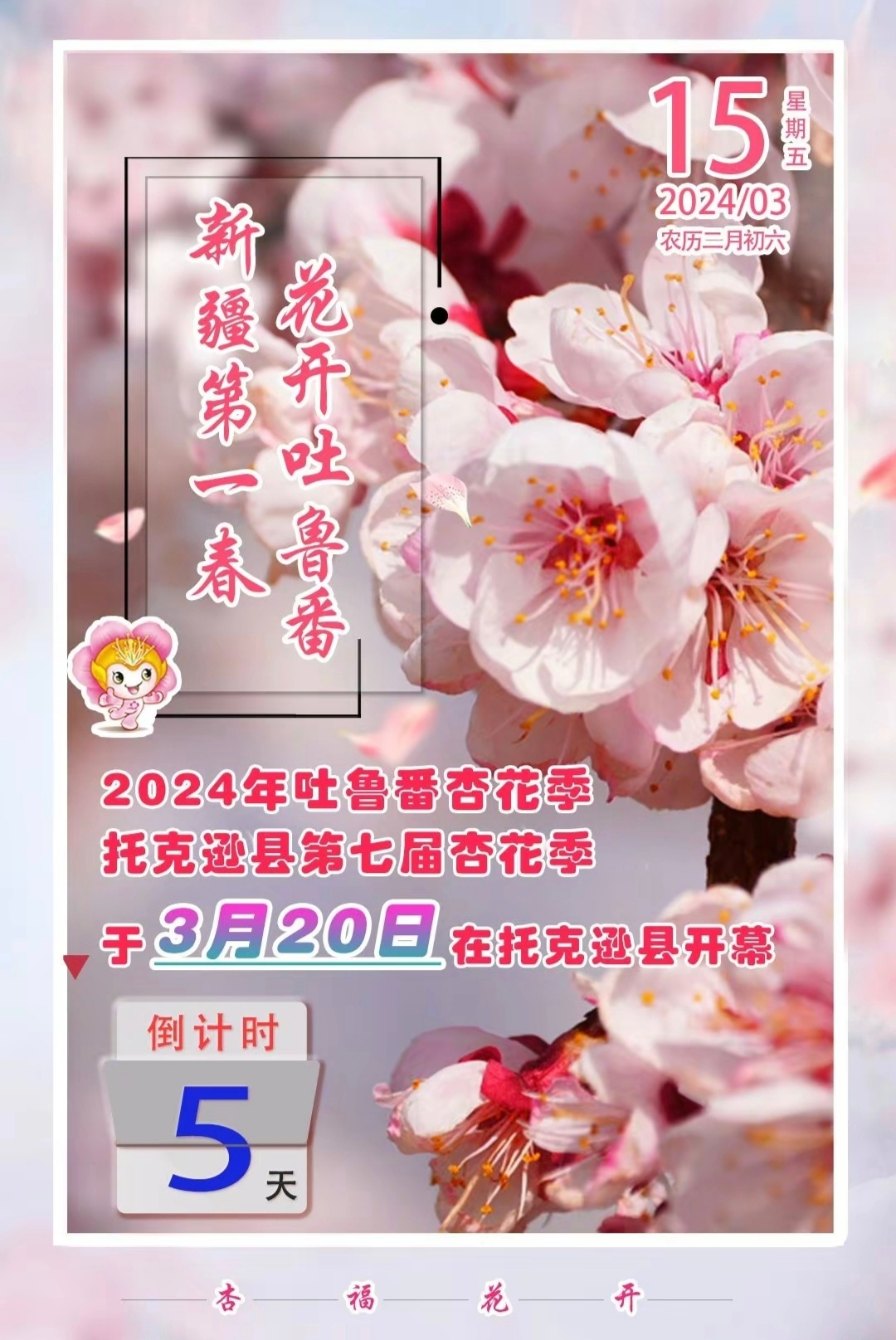 2024年托克逊杏花节3月20开幕了