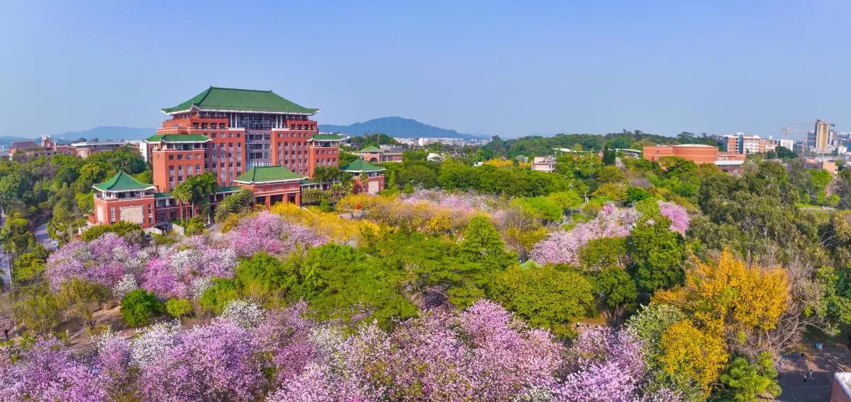 广州春季十大赏花拍照📸好去处