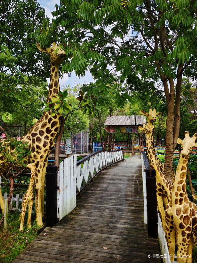 桐乡鸟屋乐园 | 国庆亲子游宝藏地