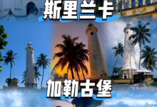 Pedlar's Inn Cafe美食图片