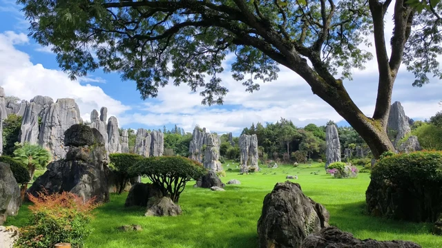 丽江石林:最好看的打卡地