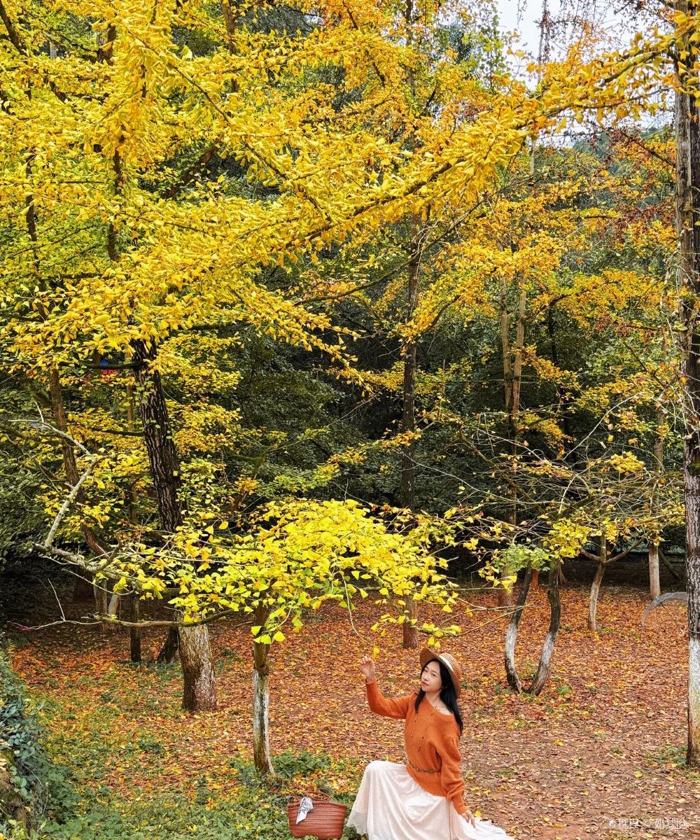杏林山居民宿(南雄帽子峰旅游景区)图片