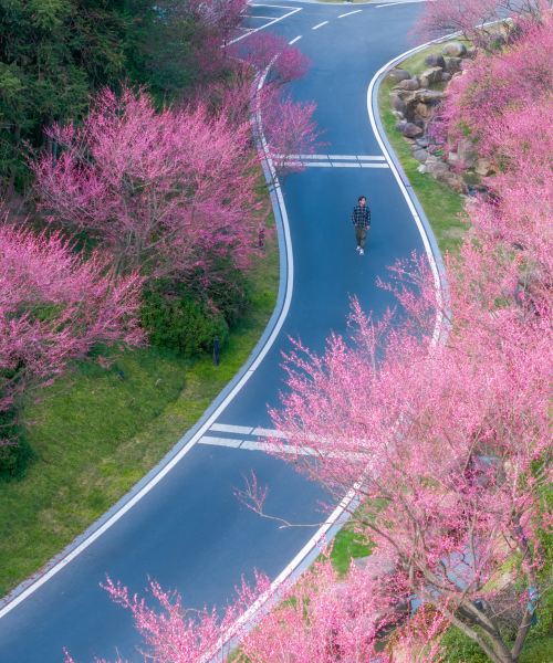 温州永嘉楠溪江鸿居温泉酒店图片