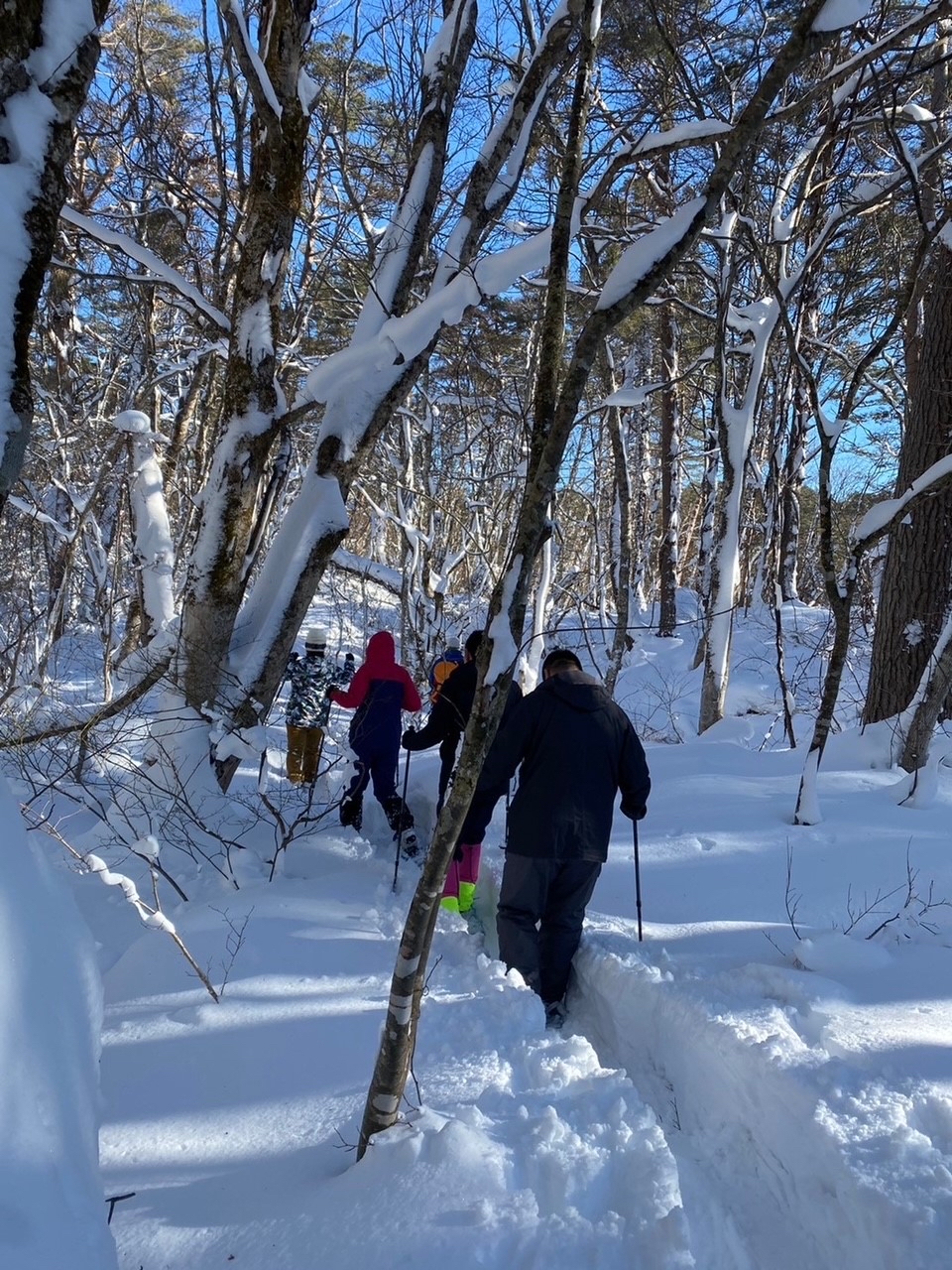 日本宝藏小众旅行地|仙台五色沼