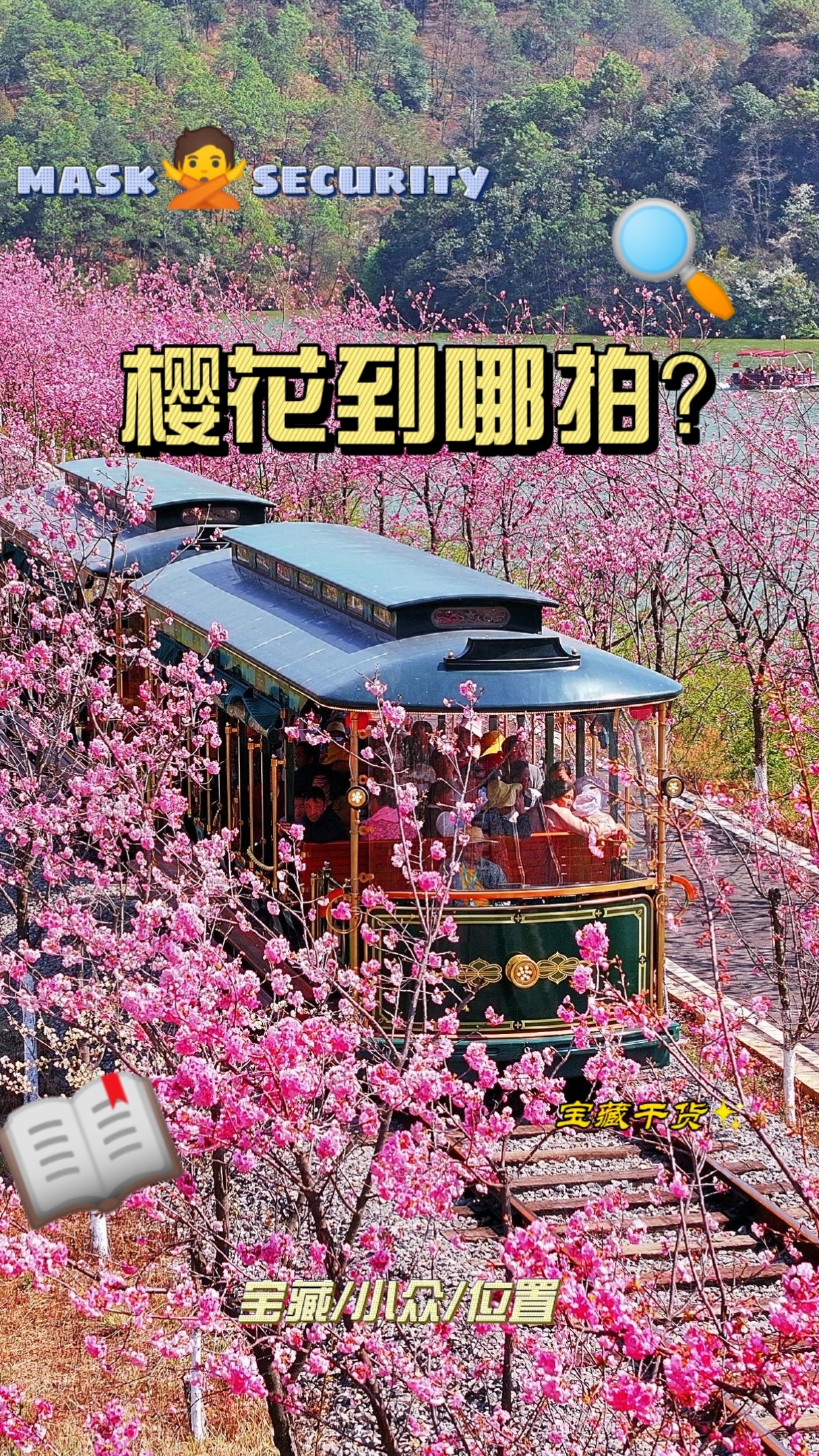 来云南感受一场樱花🌸邂逅小火车的浪漫！