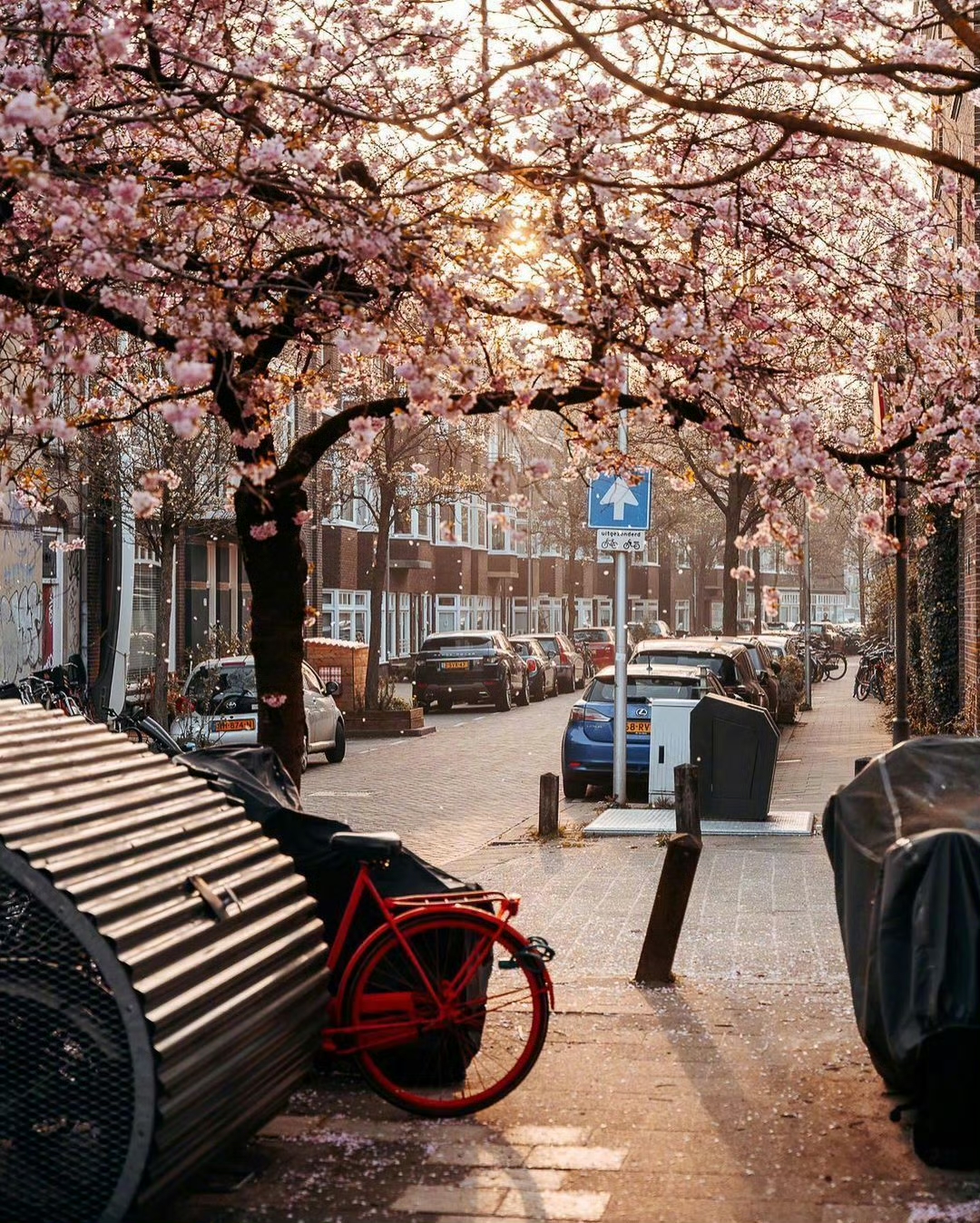 乌德勒支的浪漫春日，风中都飘着花香的甜美。