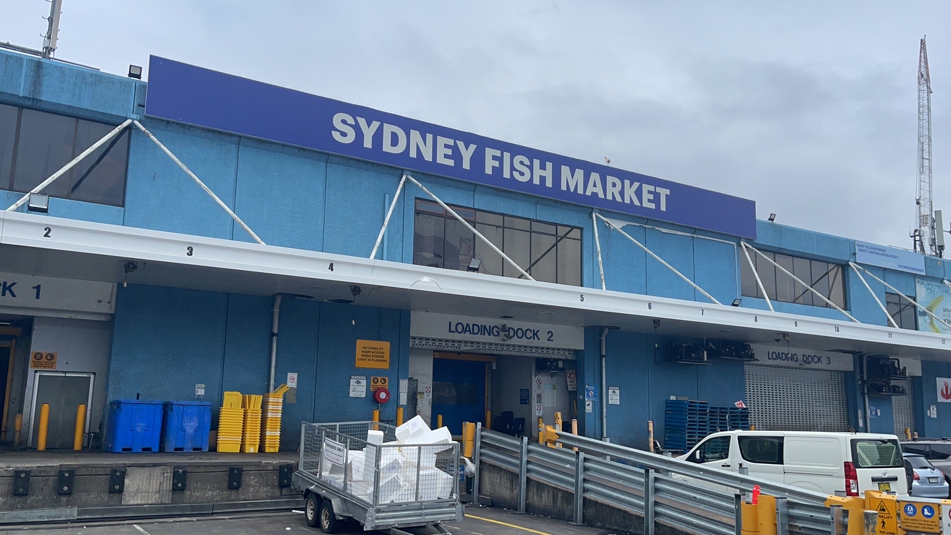 悉尼海鲜市场 大快朵颐