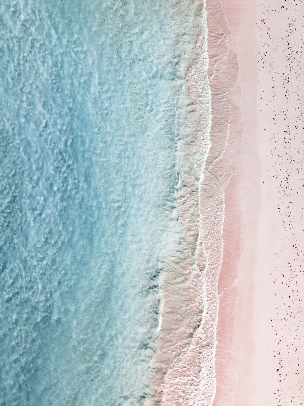 天堂之岛——巴哈马的粉色沙滩魅力