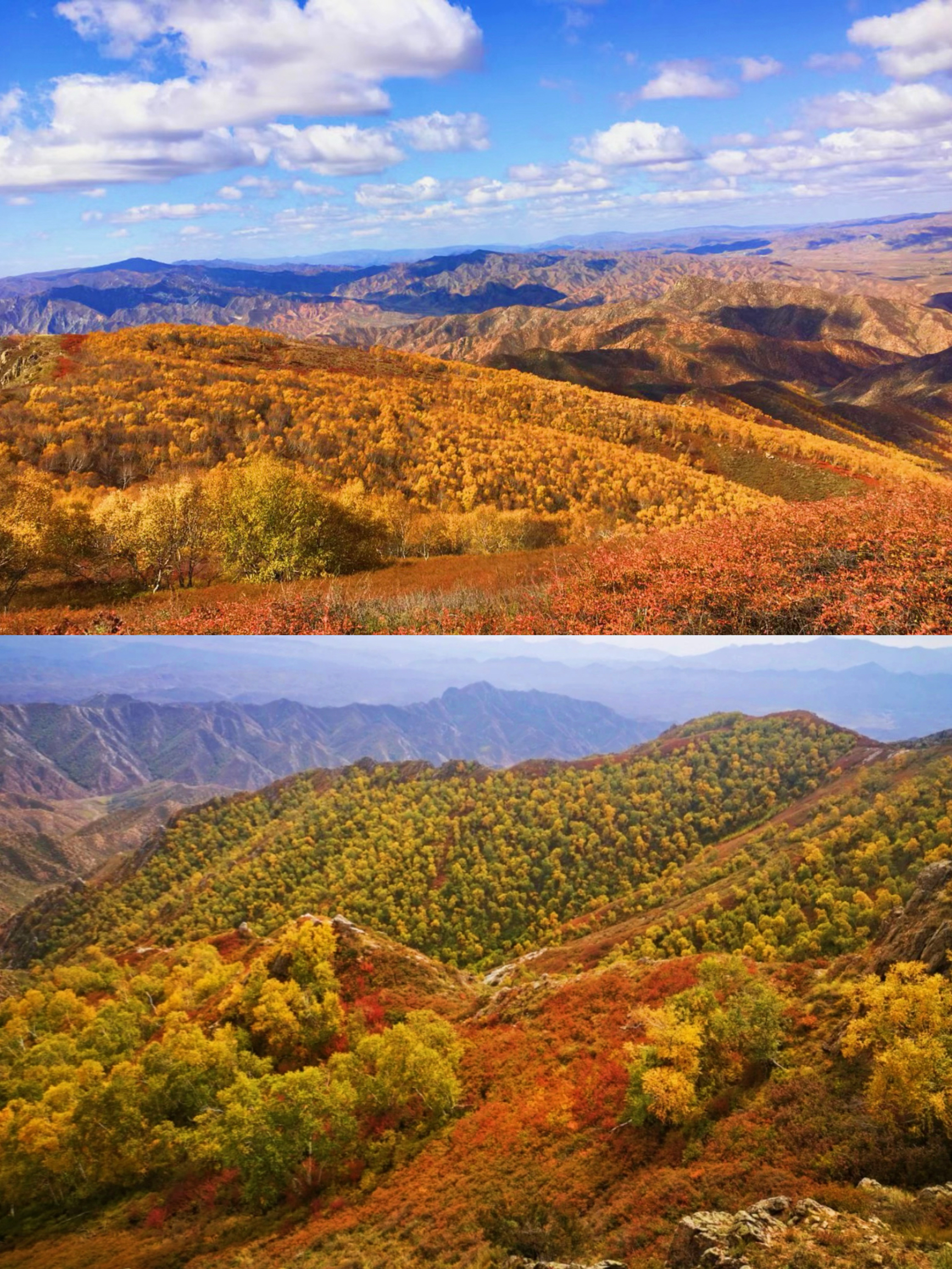 内蒙古包头|最美秋景🍂与世界平分一场秋色.