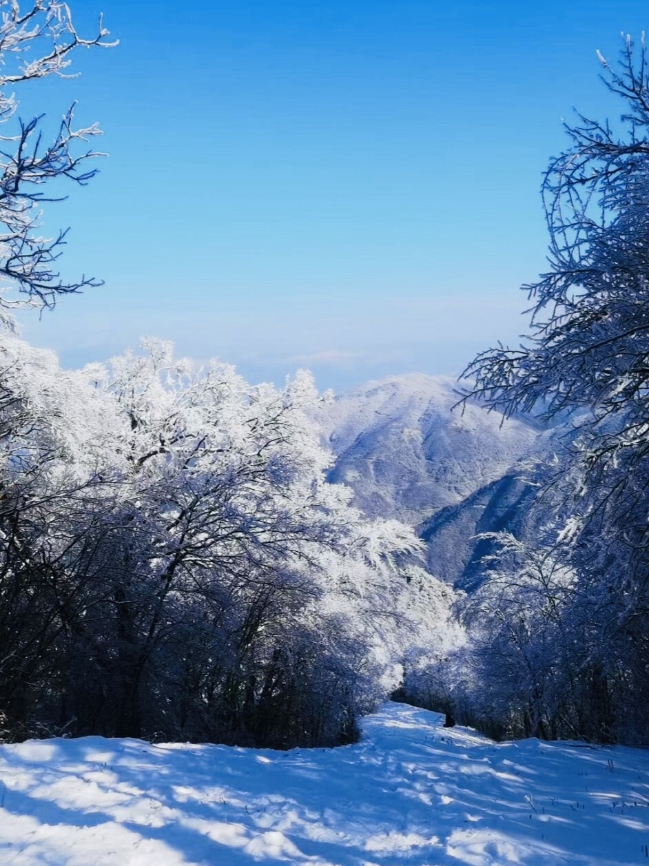 冬天总要去趟临安吧遇见雪山、雾凇