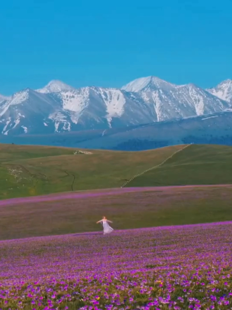 新疆的春天