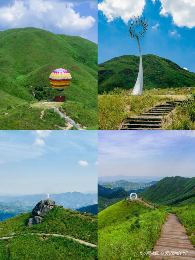 柘荣鸳鸯草场游玩攻略来啦_超全干货