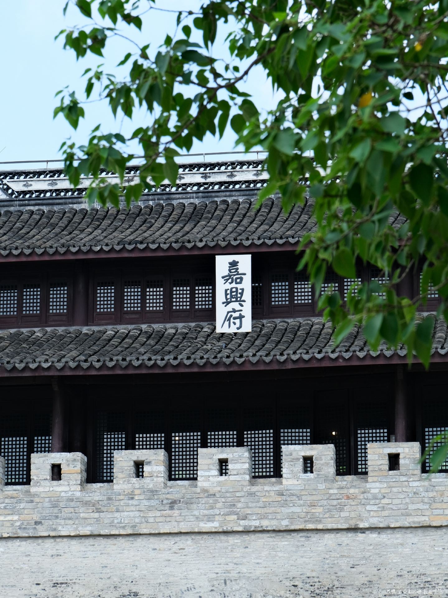 Gallery 4