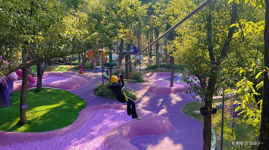 东湖之森·飞越丛林探险乐园