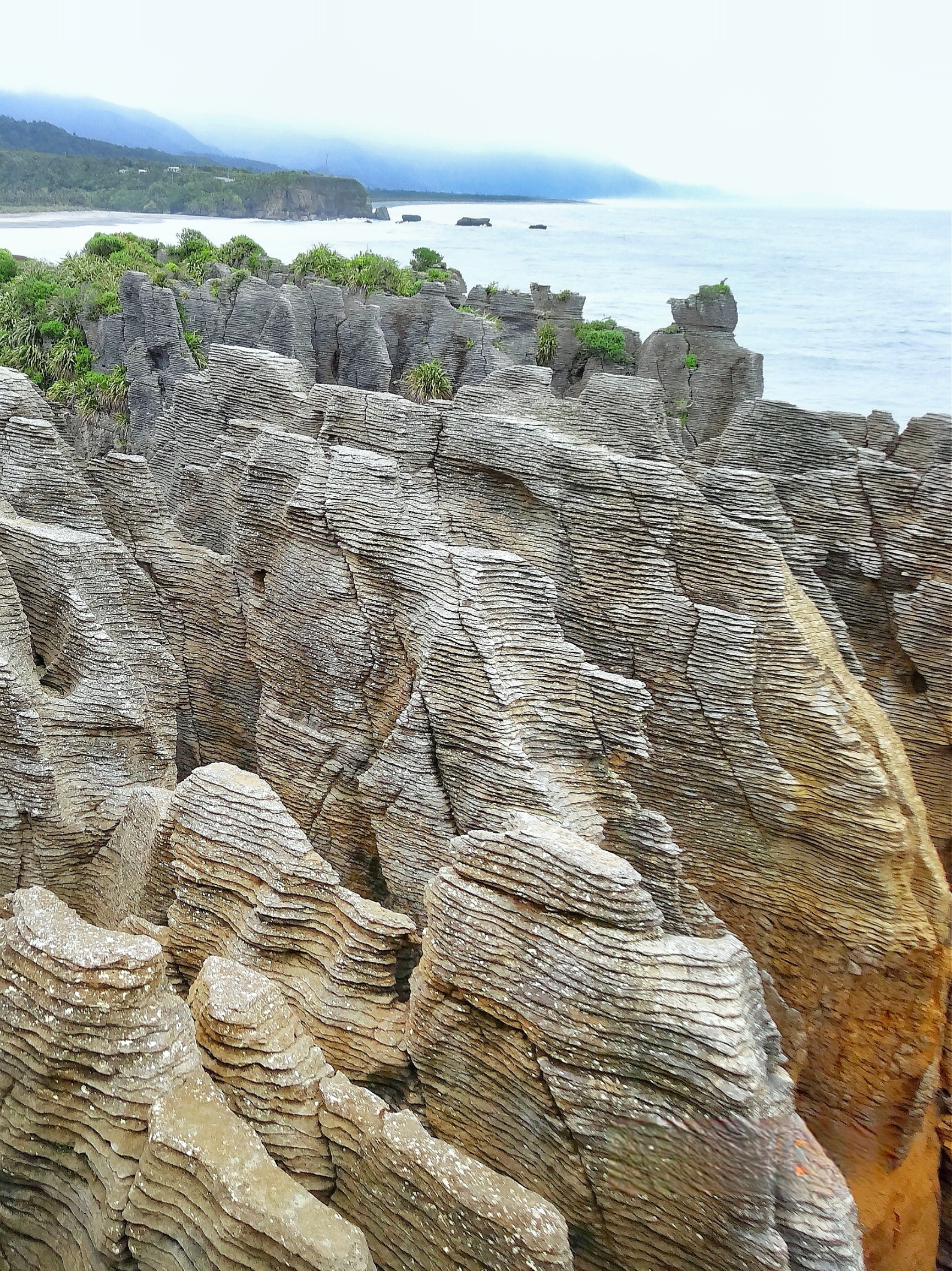 新西兰南岛：格雷茅斯/千层薄饼岩