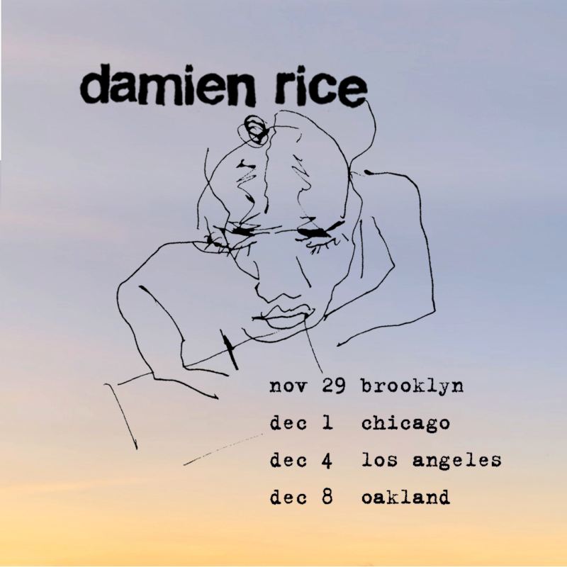 音乐推荐 | Damien Rice