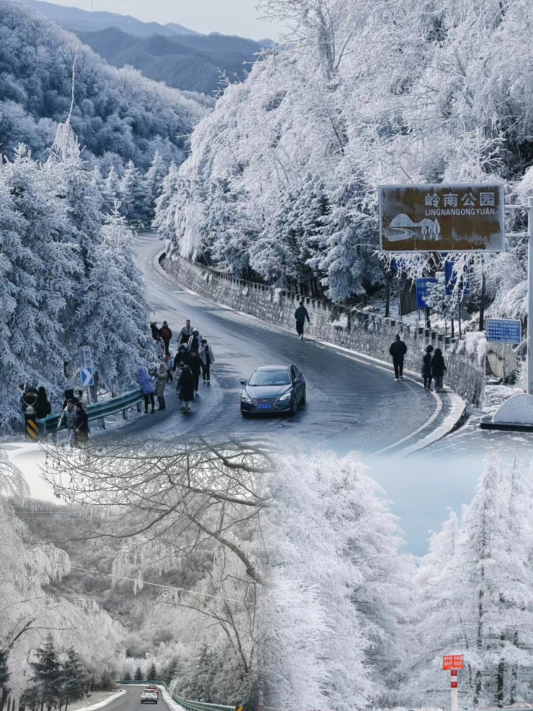 冬天一起去看雪吧——宝鸡凤县岭南公园。