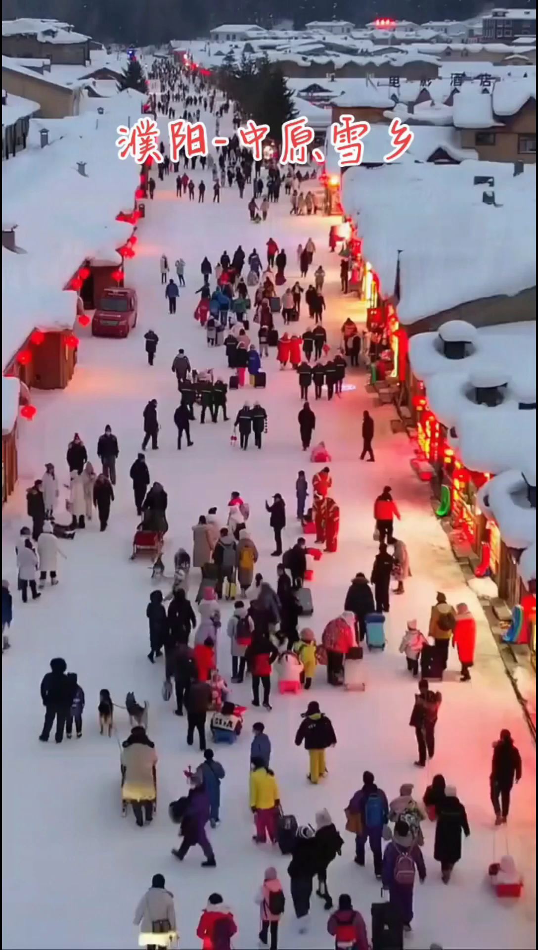 濮阳中原雪乡，一起来看美景吧