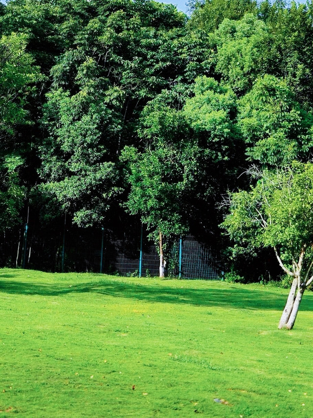 江西南昌前湖公园:适合拍照打卡好地方